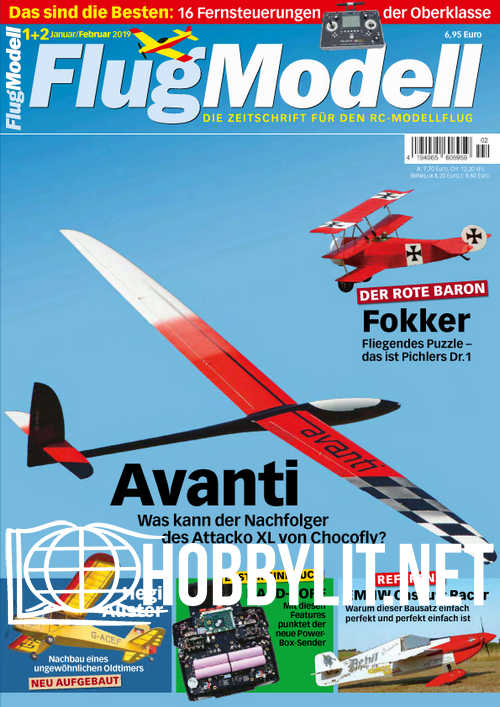 Flugmodell - Januar/Februar 2019