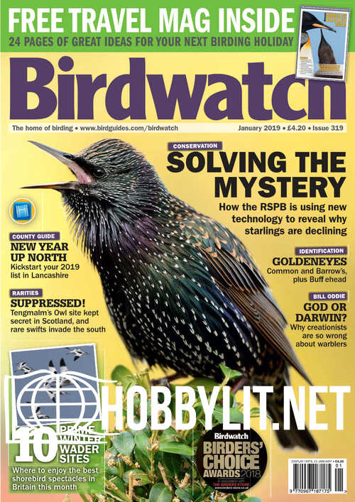 Birdwatch – January 2019