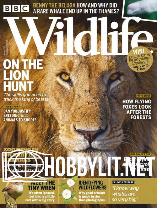 Wildlife - January 2019