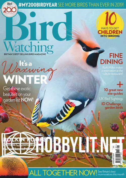 Bird Watching - January 2019