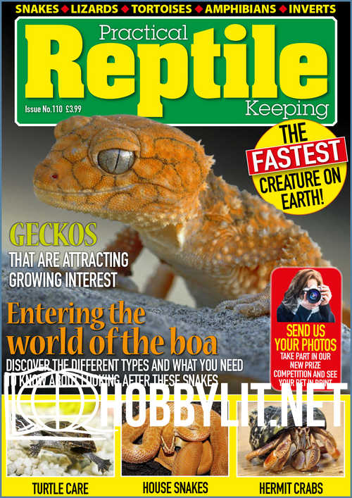 Practical Reptile Keeping Issue 110