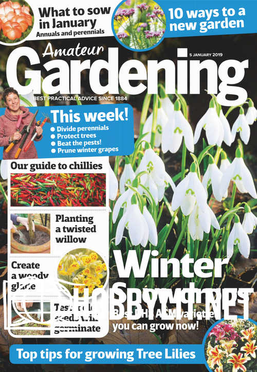 Amateur Gardening - 5 January 2019