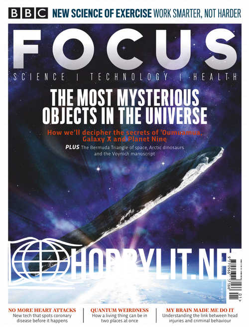 Focus - January 2019