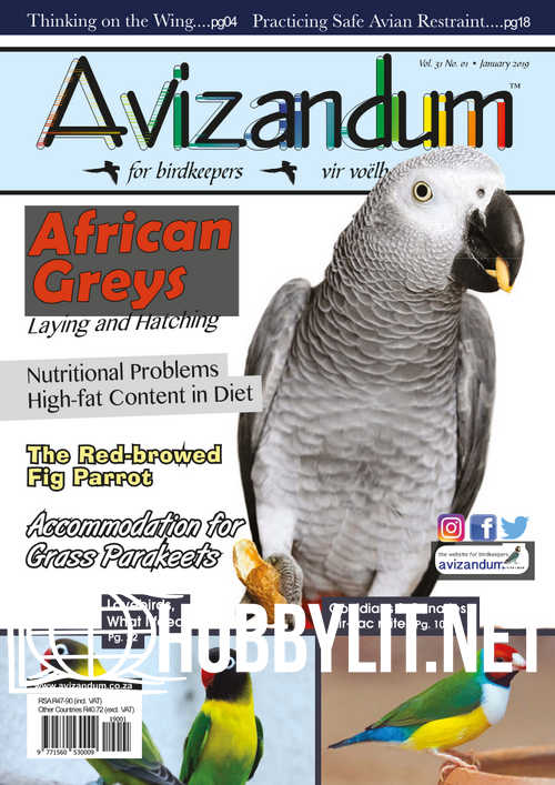 Avizandum – January 2019