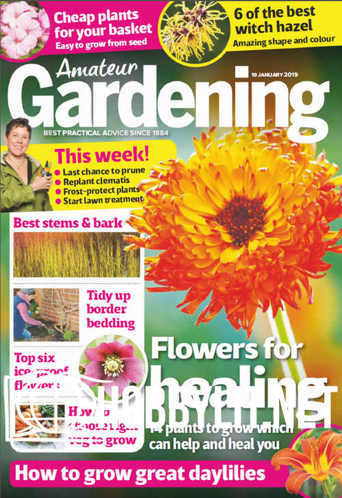 Amateur Gardening - 19 January 2019