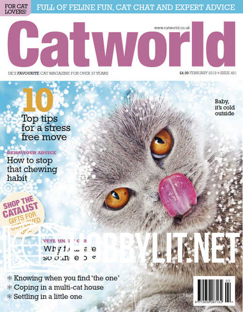 Cat World – February 2019