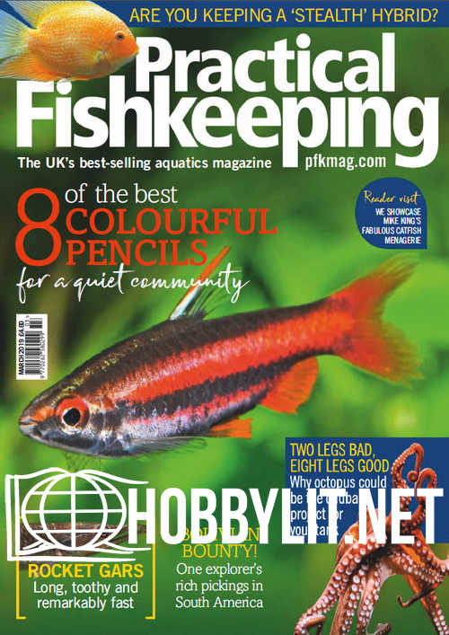 Practical Fishkeeping - March 2019