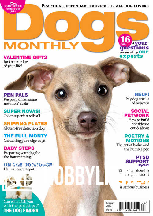 Dogs Monthly - February 2019