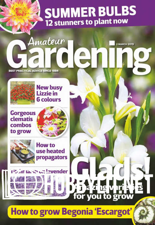 Amateur Gardening - 2 March 2019