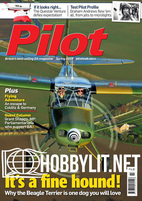 Pilot - Spring 2019