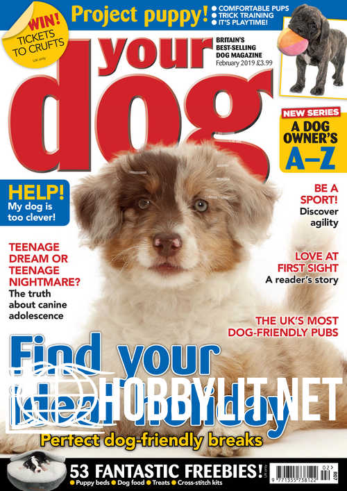 Your Dog - February 2019