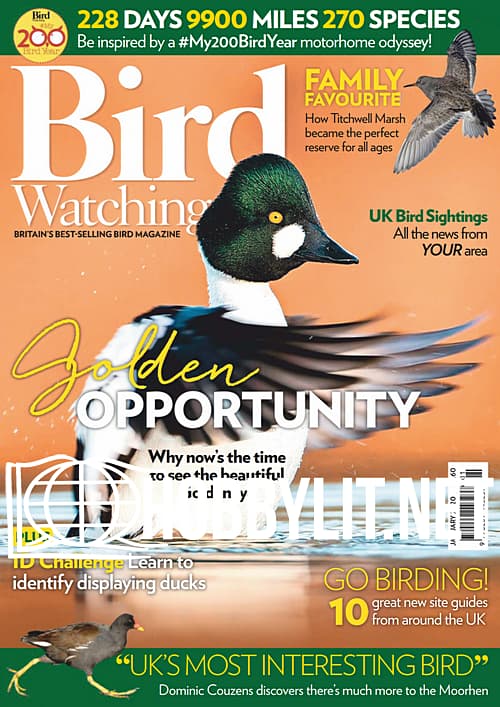 Bird Watching - January 2020