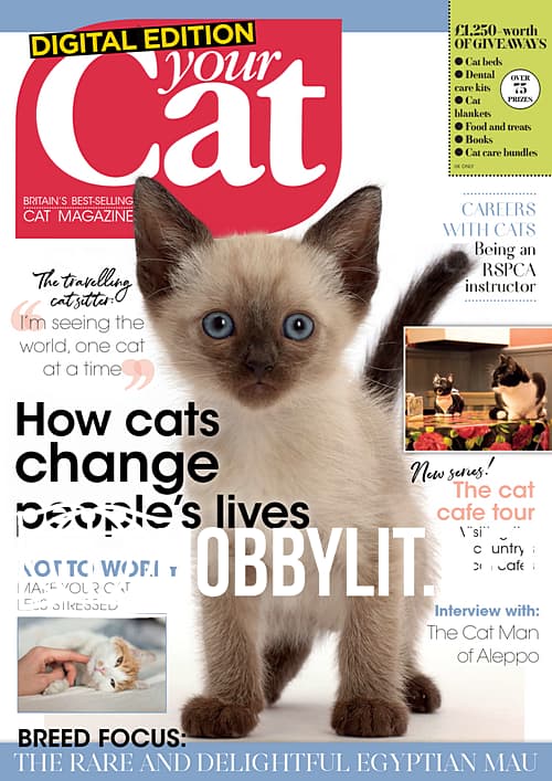 Your Cat - March 2020