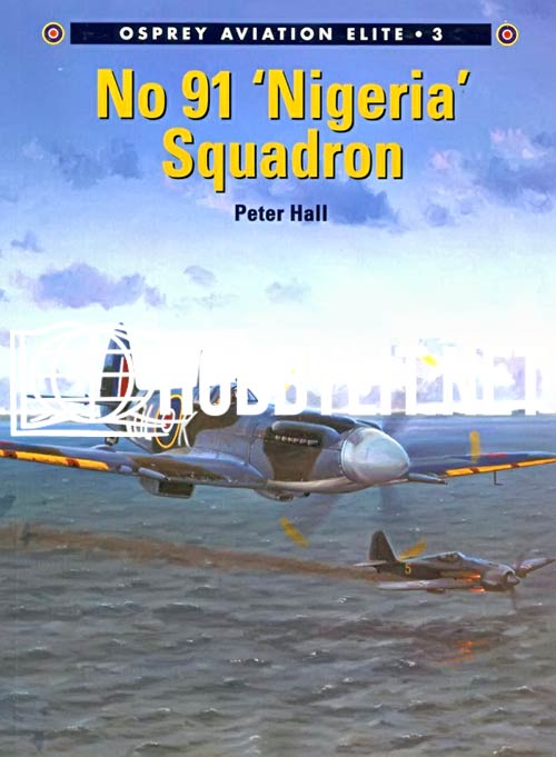 Aviation Elite Units: No.91 'Nigeria' Squadron