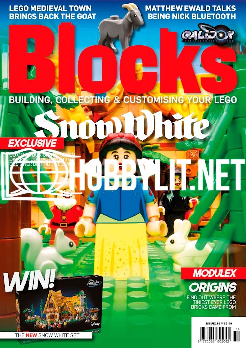 Blocks Issue 114