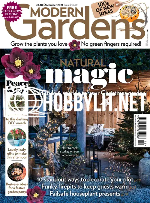 Modern Gardens December 2021