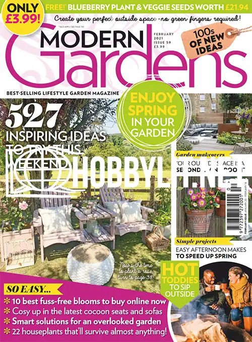 Modern Gardens February 2021