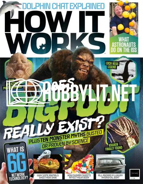 How It Works Issue 183