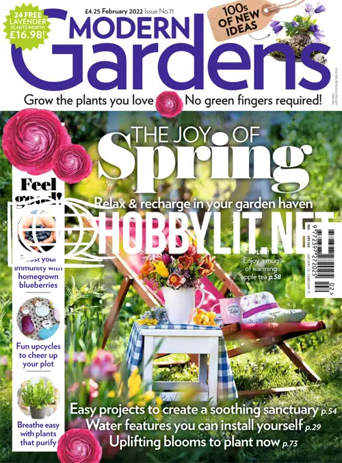 Modern Gardens February 2022