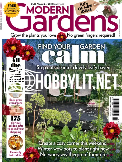 Modern Gardens November 2022