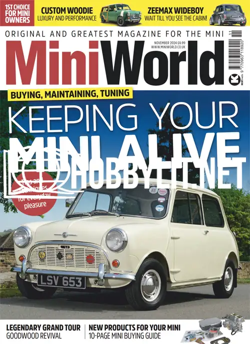 MiniWorld