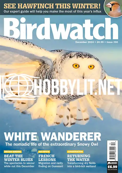 Birdwatch December 2024