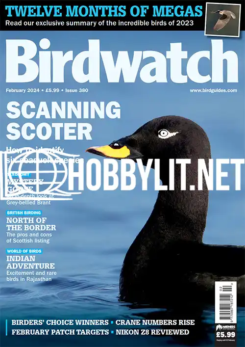 Birdwatch February 2024