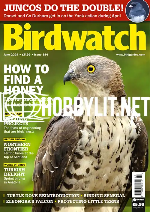 Birdwatch June 2024