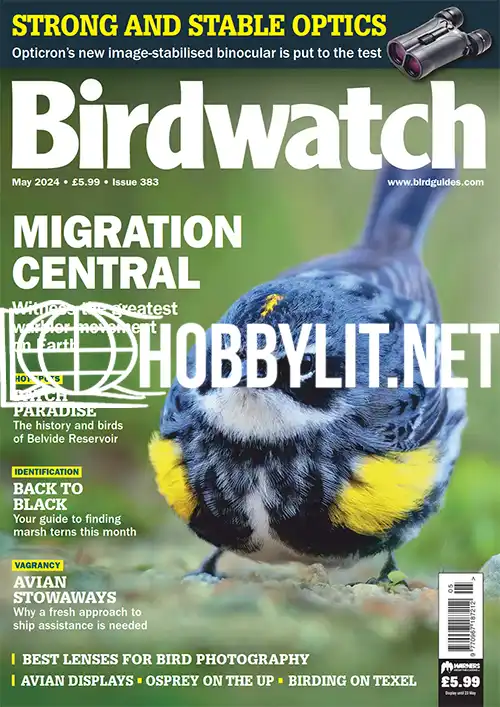 Birdwatch May 2024