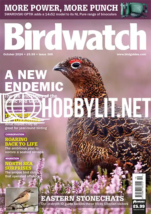 Birdwatch October 2024